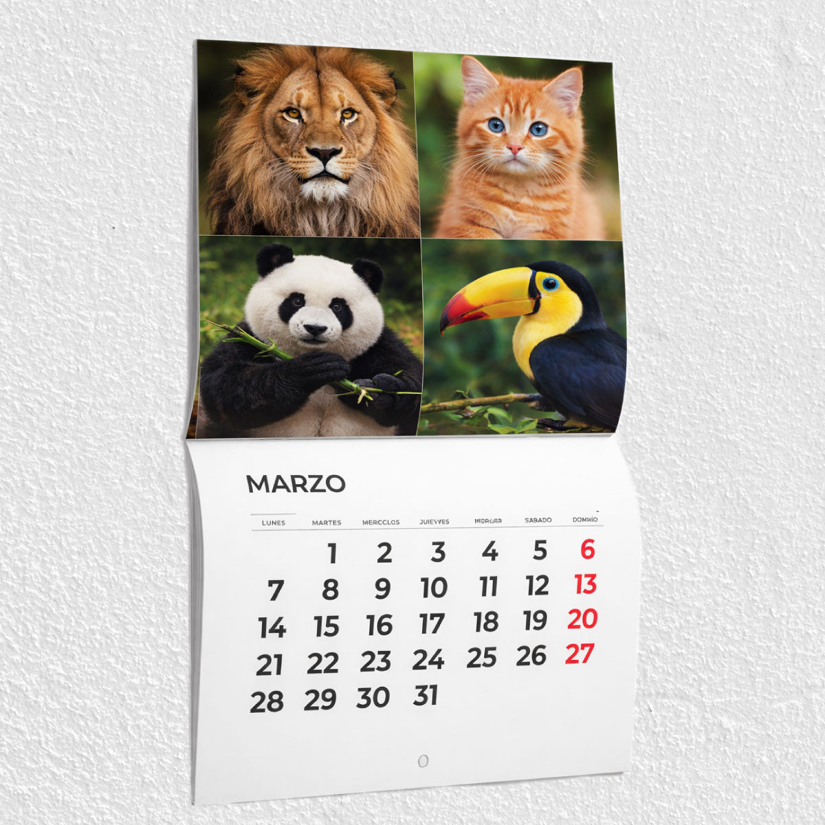 Calendario de Pared